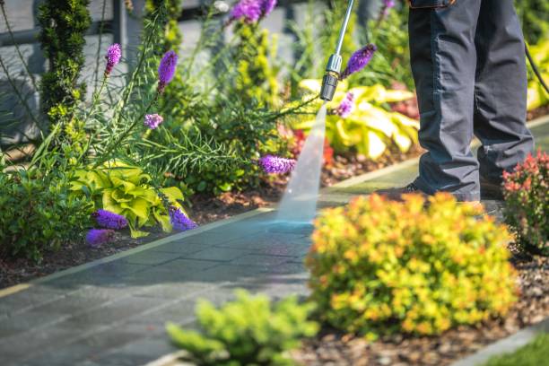 Best Driveway Pressure Washing  in Lonoke, AR