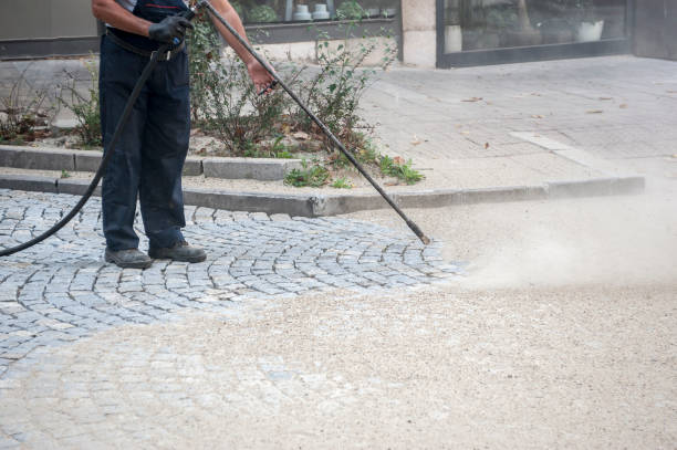 Best Driveway Pressure Washing  in Lonoke, AR